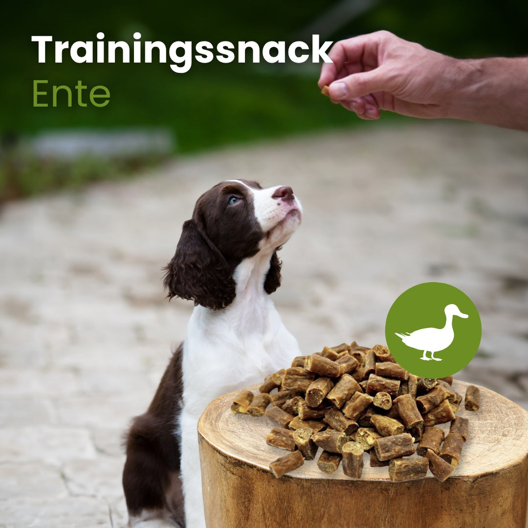 Enten-Sticks-Trainingssnack