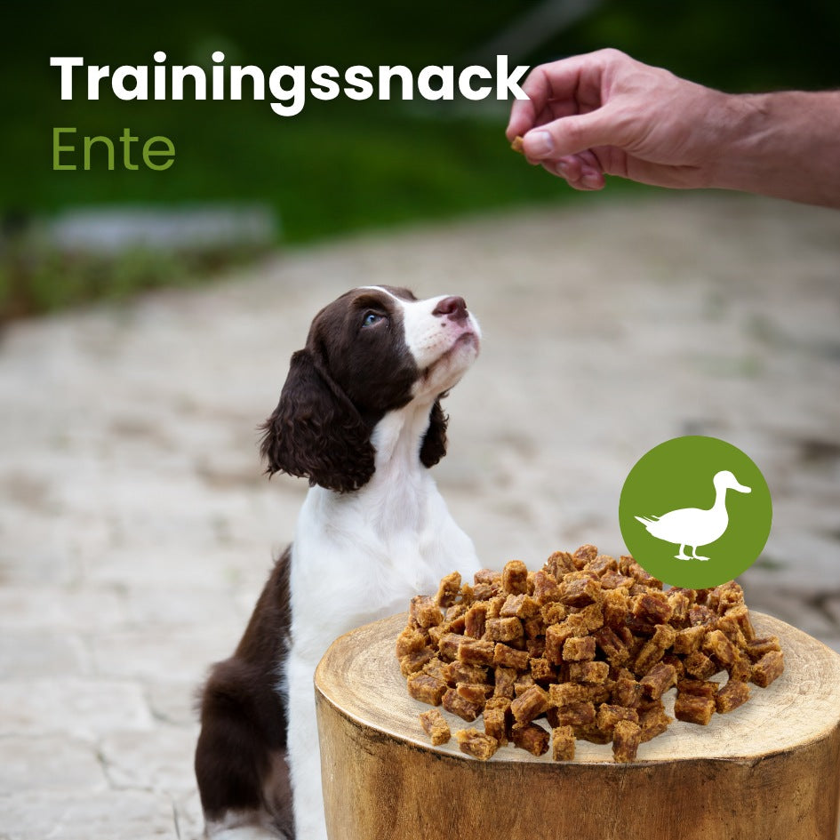 Enten-Sticks-Trainingssnack