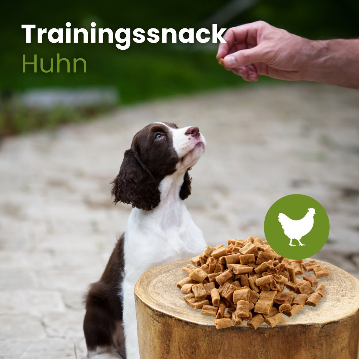 Hühner-Sticks-Trainingssnack