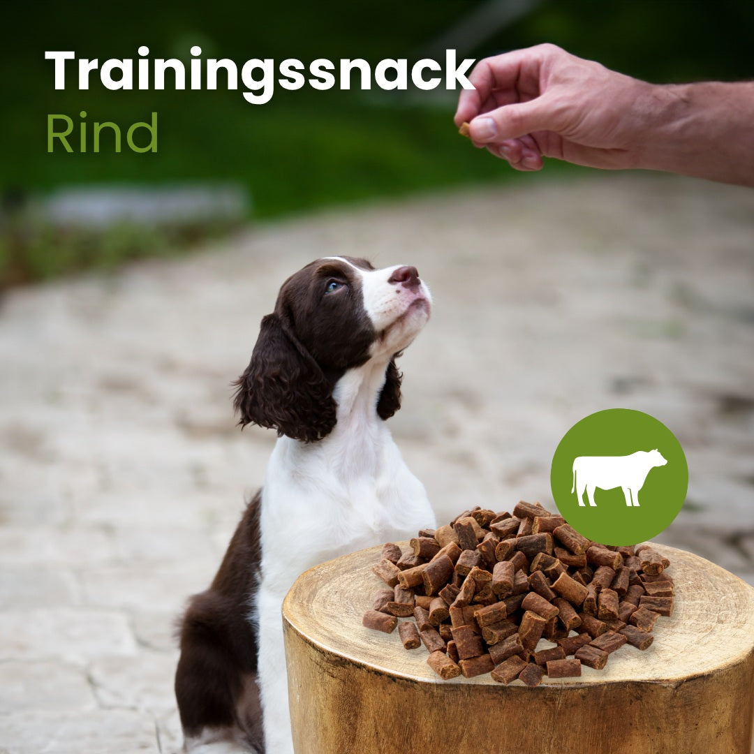 Rinder-Sticks-Trainingssnack